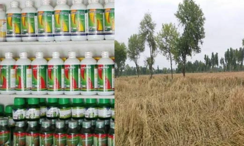 جعلی زرعی ادویات سے پنجاب و سندھ میں فصلوں کو نقصان [Draft]