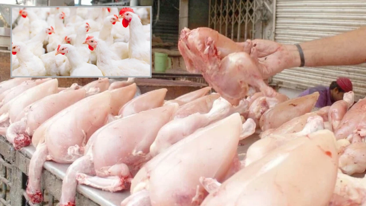 کراچی میں مرغی کے گوشت کی قیمت میں 200 روپے اضافہ [Draft]