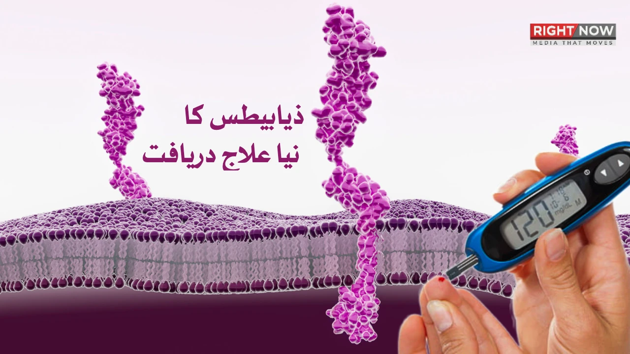 نیویارک میں شوگر کے لیے نئی دوا کی دریافت [Draft]