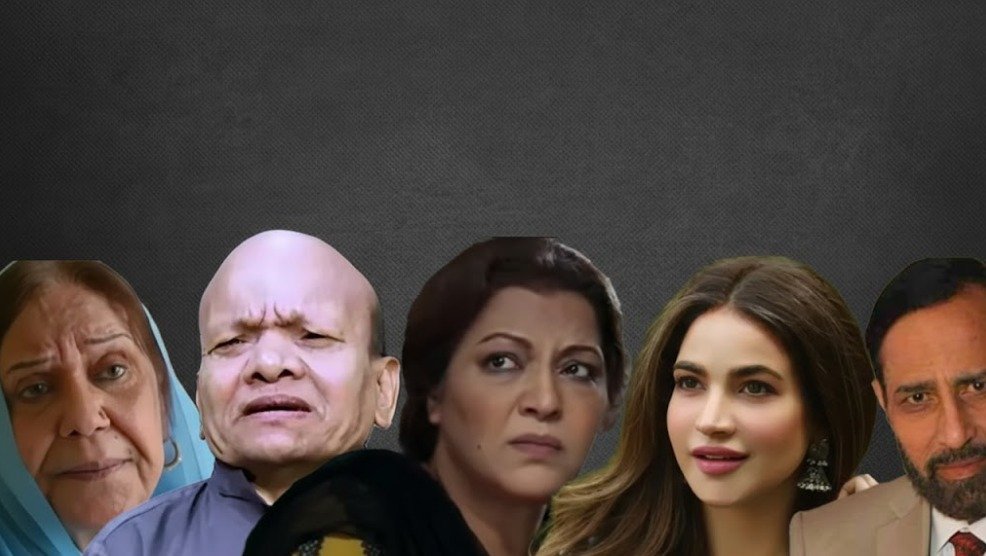 2025 میں پاکستانی شوبز انڈسٹری کے کئی ستارے رخصت