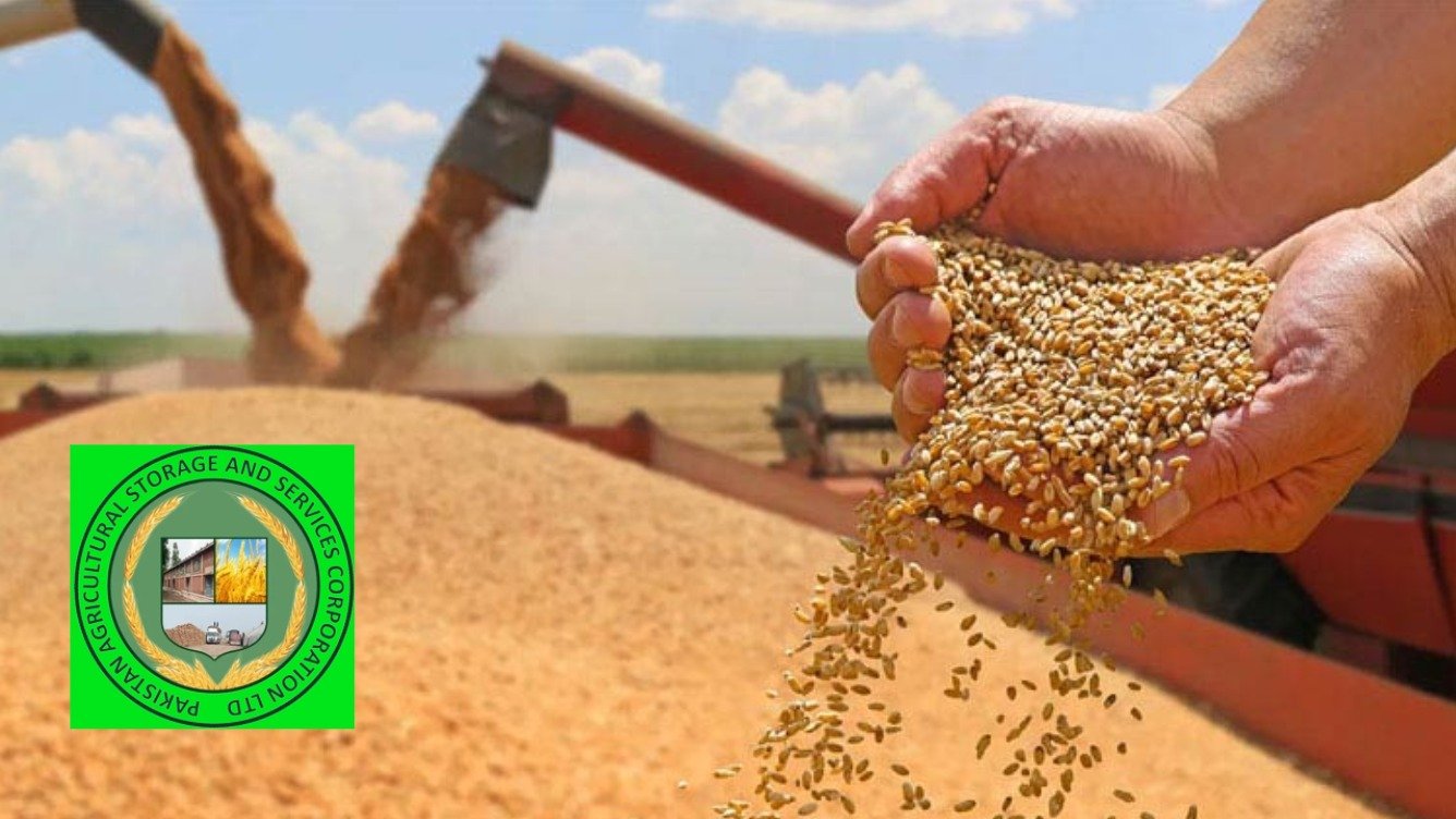 پاسکو کے واجبات کے تصفیے کے لیے گندم اسٹاک مینجمنٹ کمپنی قائم