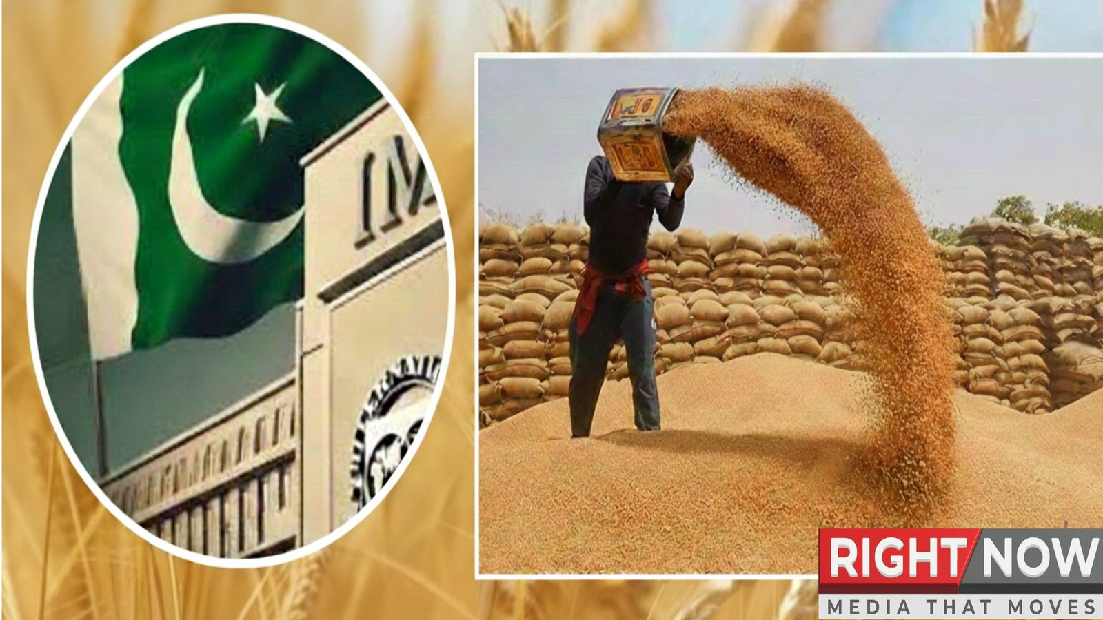 آئی ایم ایف کے دباؤ پر حکومت گندم خرید سے دستبردار
