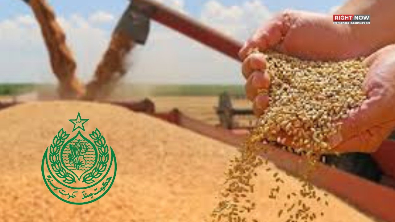 سندھ حکومت پر گندم کی سپلائی میں دوہرا معیار اپنانے کا الزام