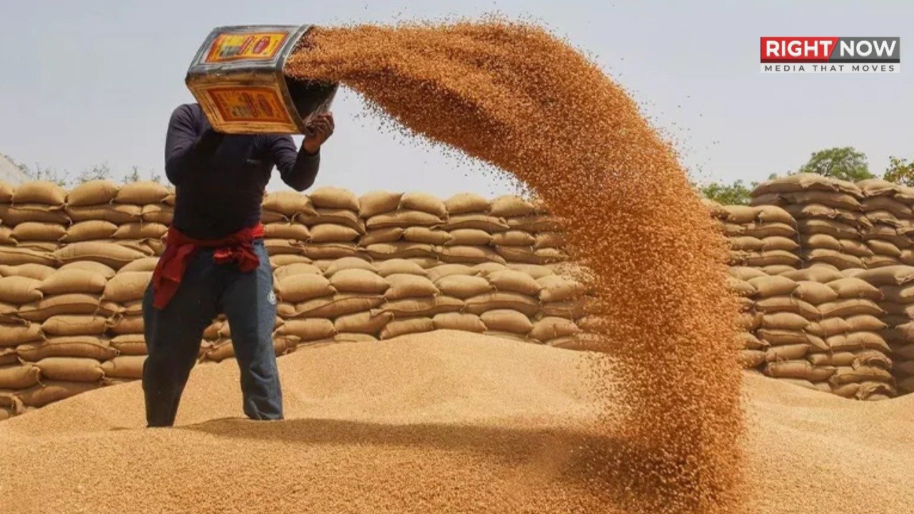 وفاقی حکومت کا گندم کی خریداری سے دستبرداری کا فیصلہ