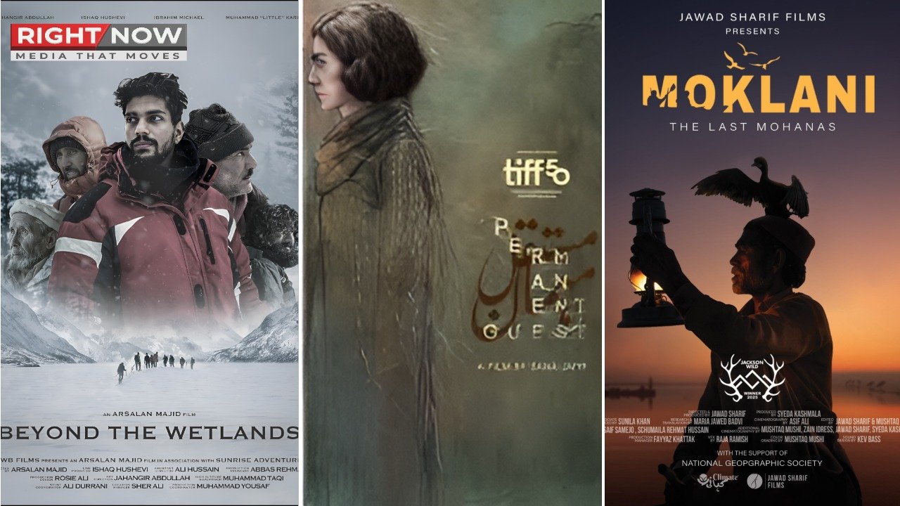 پاکستانی آزاد فلموں کی 2025 میں خاموش کامیابیاں