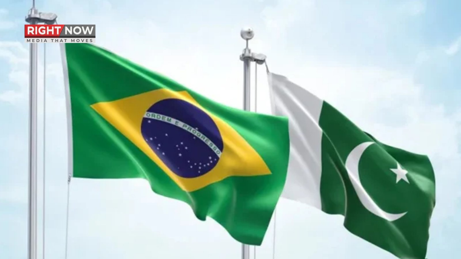 پاکستان اور برازیل کا لائیوسٹاک صنعت میں تعاون کا فیصلہ