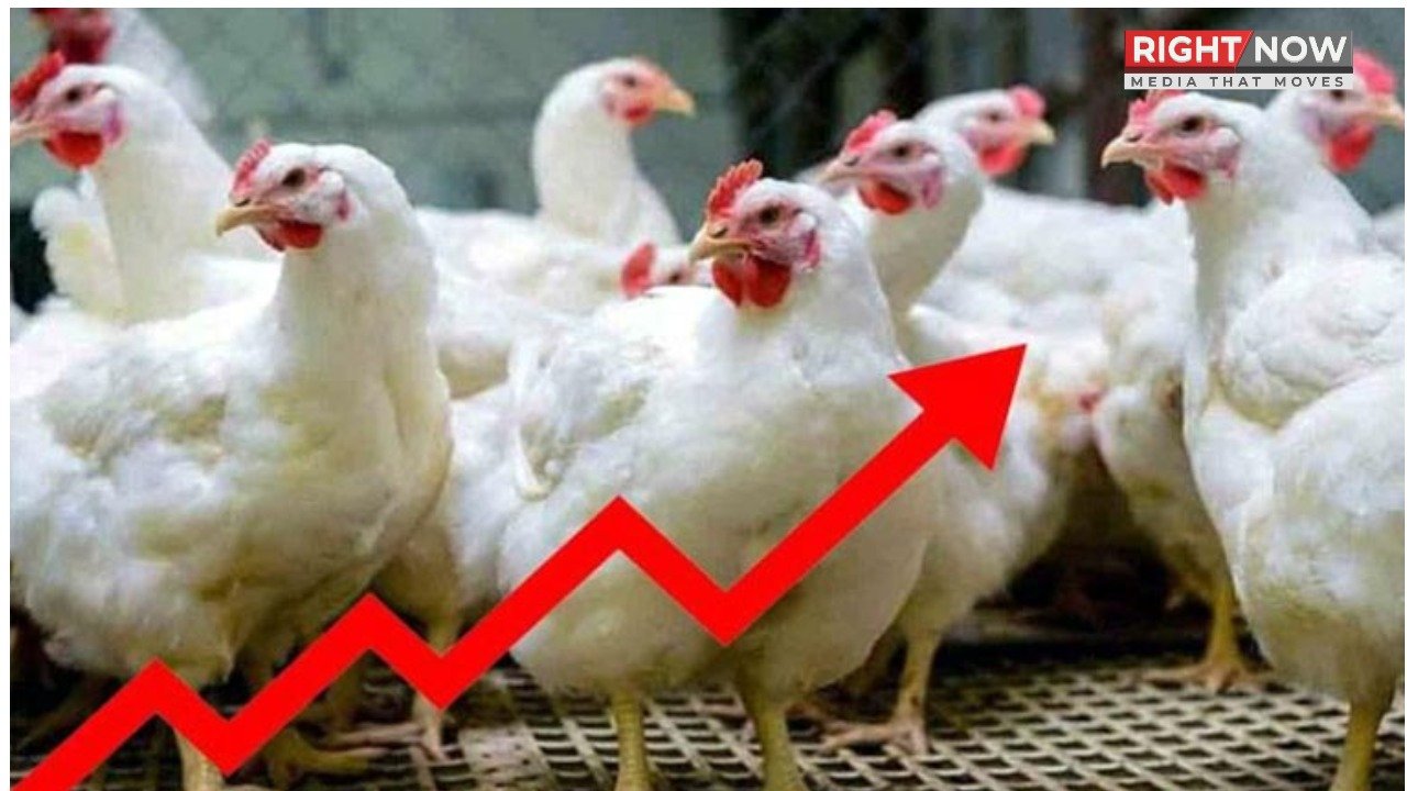 لاہور، ملتان اور پشاور میں مرغی کی قیمتوں میں مختلف رجحانات