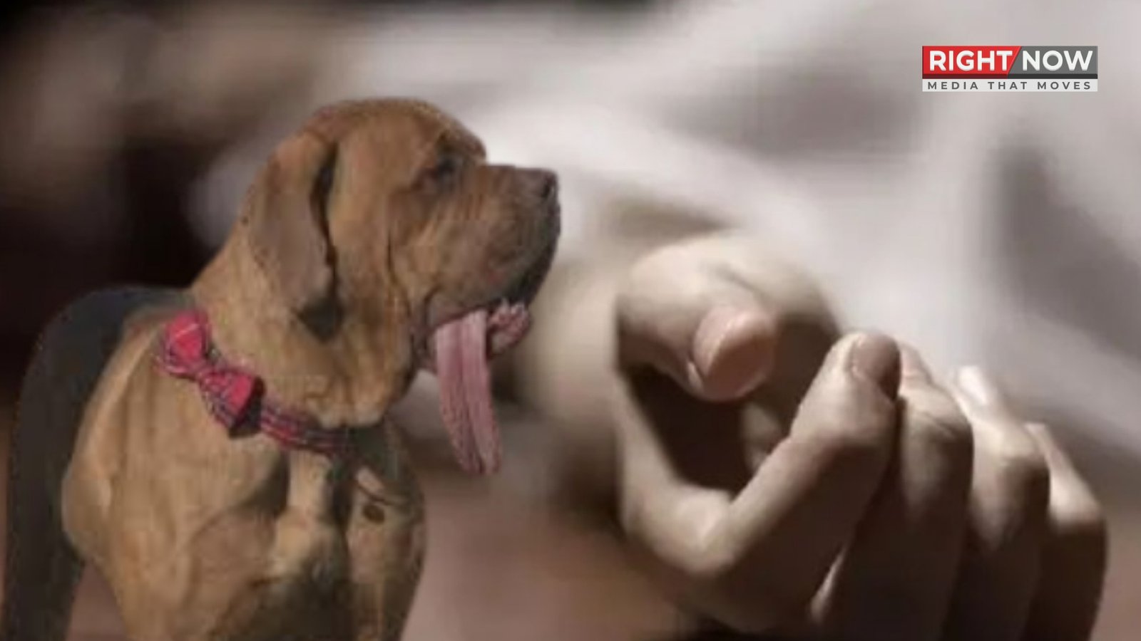 لکھنو میں پالتو کتے کی بیماری پر دو بہنوں کی خودکشی