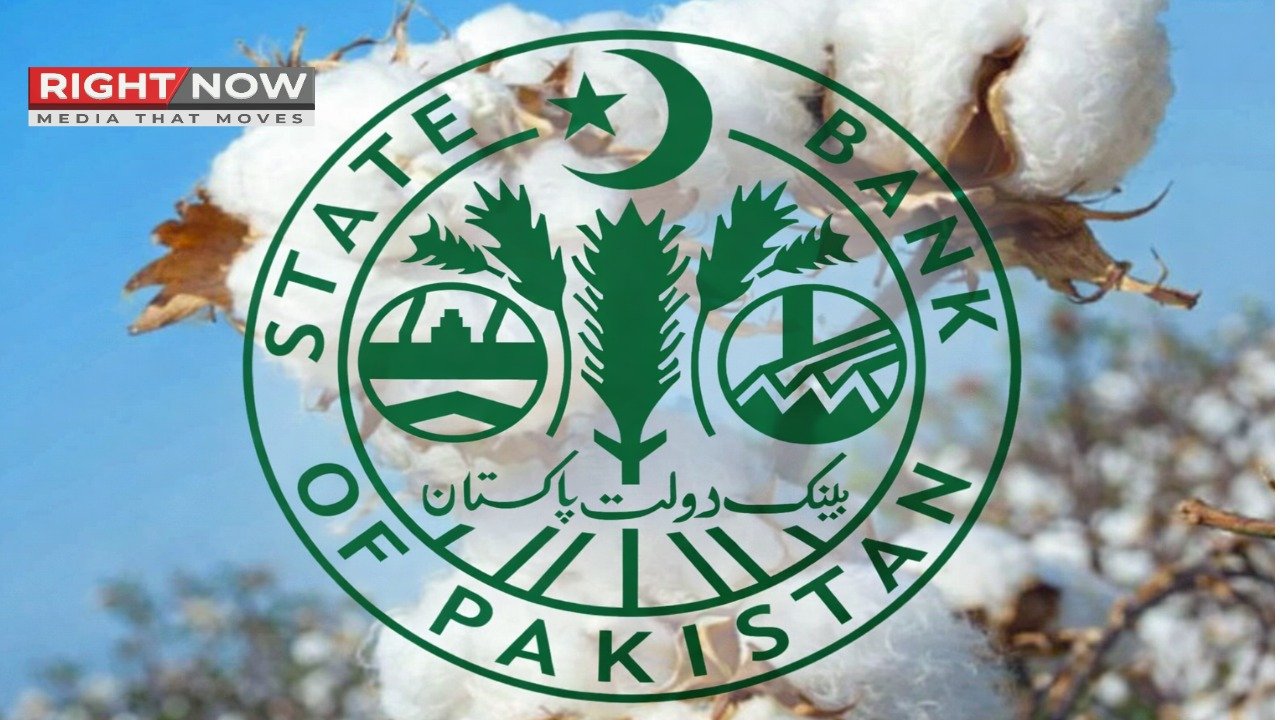 وفاقی حکومت نے کپاس کی برآمدات کا معاملہ اسٹیٹ بینک کے سپرد کر دیا