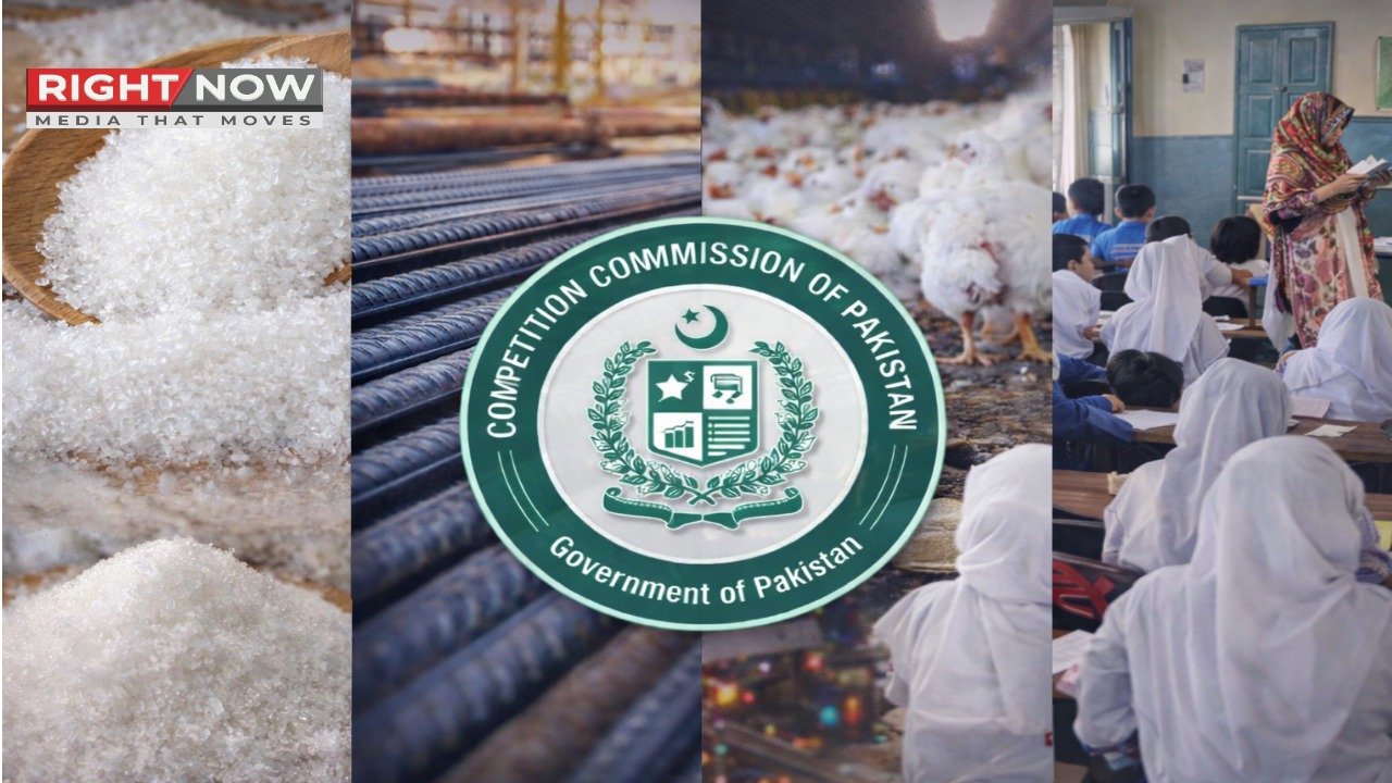 مسابقتی کمیشن کی شوگر، اسٹیل، پولٹری اور تعلیم میں کارروائی