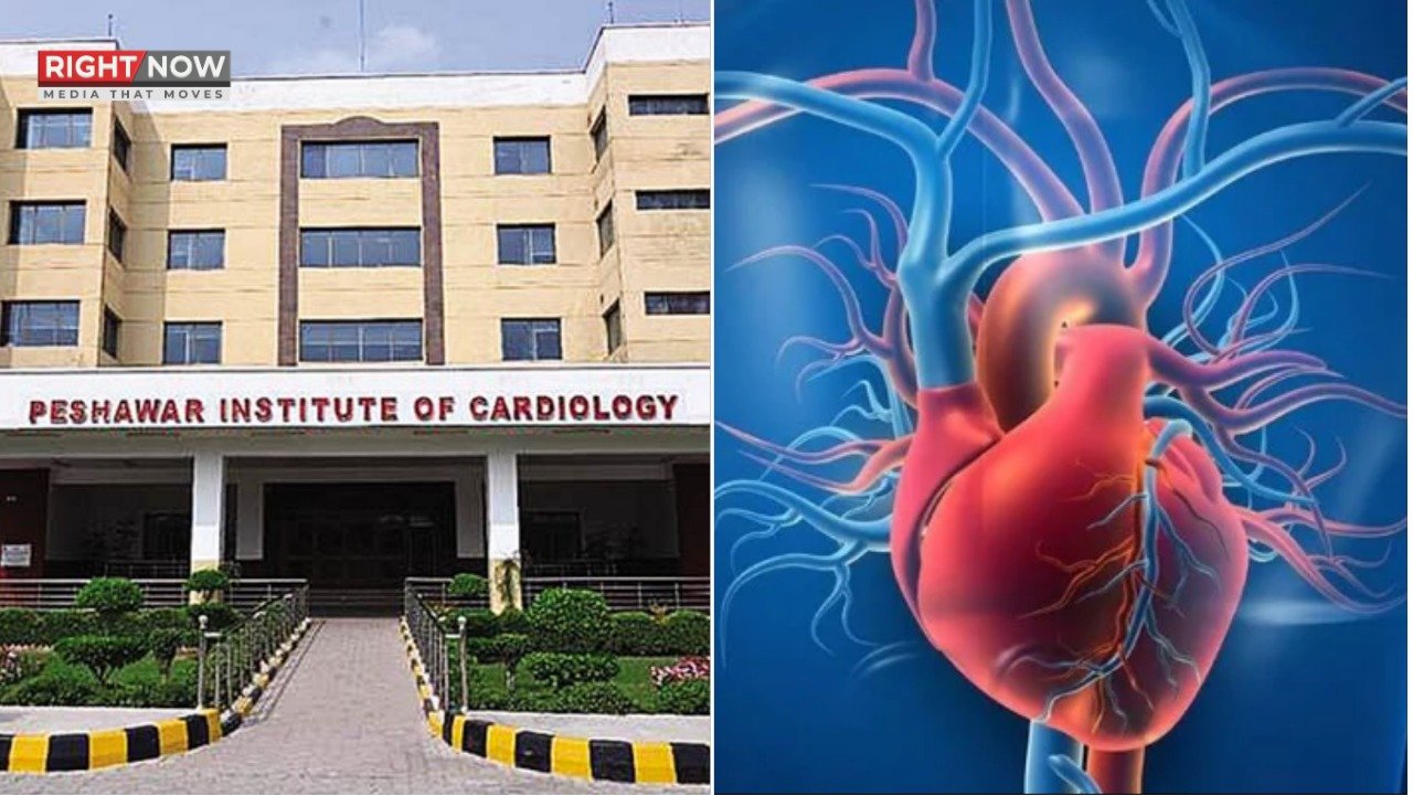 پی آئی سی نے 2025 میں امراض قلب کے اسپتالوں میں برتری حاصل کر لی