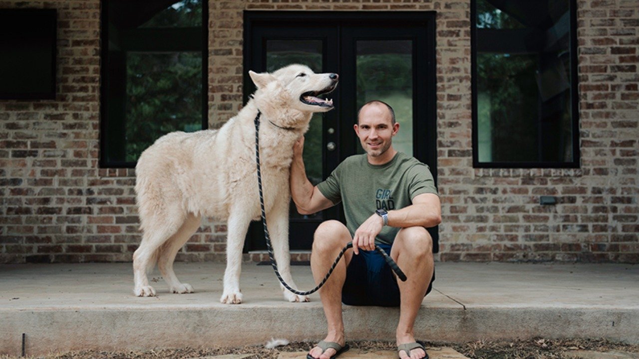 انسان کتوں سے پہلے بھیڑیوں کو پالتے تھے، نئی تحقیق