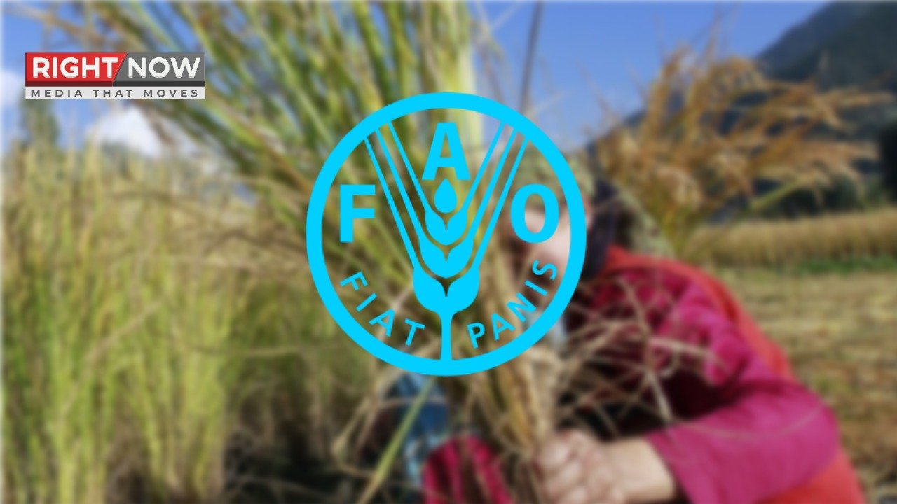 اقوام متحدہ کا خواتین کسانوں کا عالمی سال 2026 کا اعلان