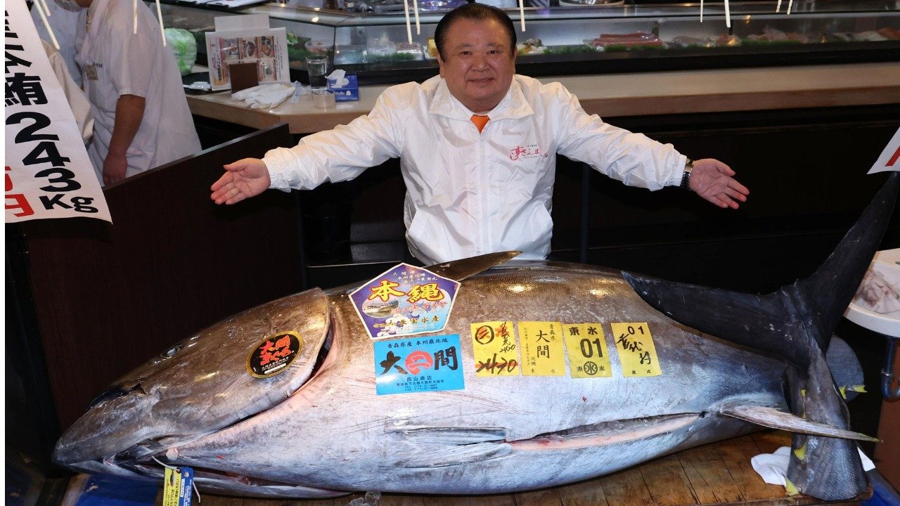 جاپان میں نیلا فن ٹیونا 3 کروڑ 24 لاکھ ڈالر میں فروخت