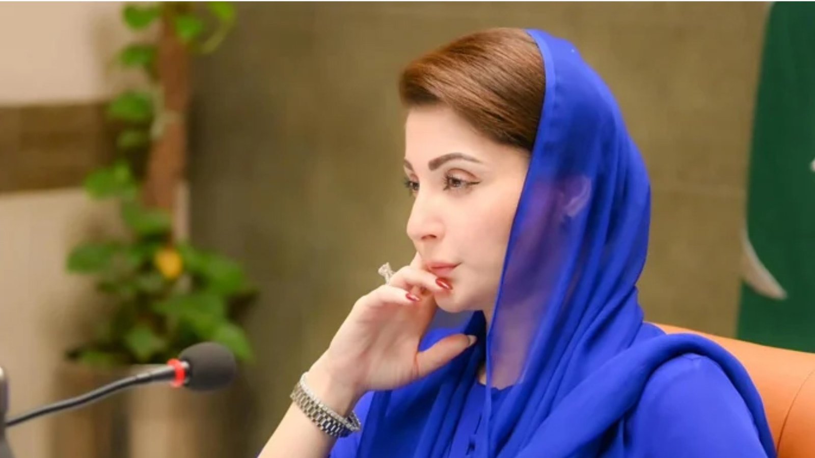 مریم نواز کی داماک گروپ کو پنجاب میں سرمایہ کاری کی دعوت