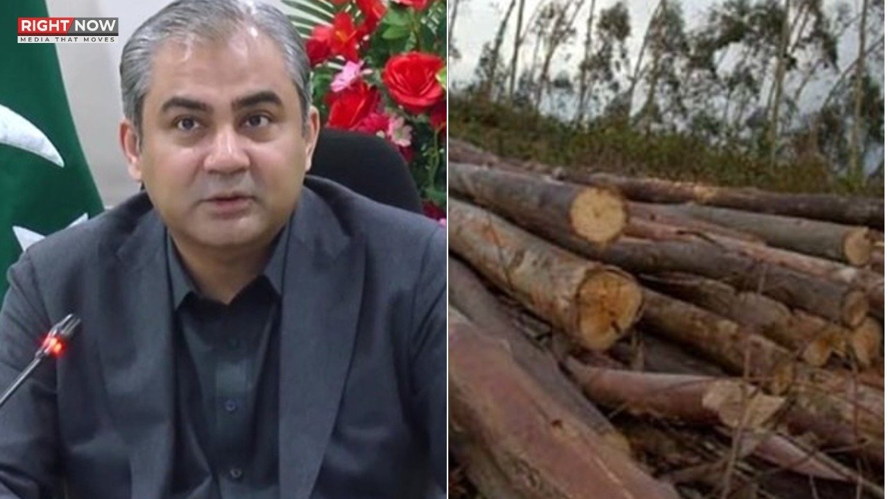 شکرپڑیاں میں بڑے پیمانے پر درختوں کی کٹائی، وزیر داخلہ کا نوٹس