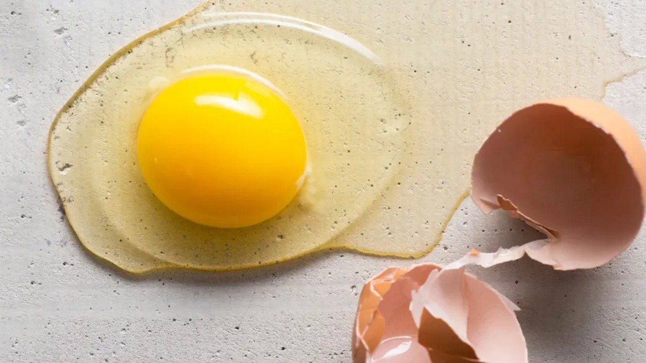 انڈوں کا کولیسٹرول پر اثر، ہارورڈ تحقیق نے پرانی سوچ بدلی