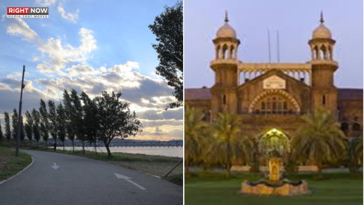 لاہور ہائیکورٹ کا نہر کنارے درختوں کی کٹائی پر شدید برہمی کا اظہار