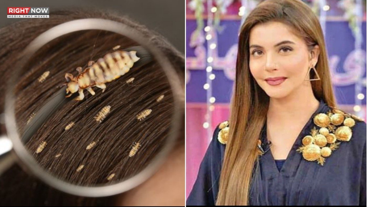 ندا یاسر کے جوؤں کے انکشاف نے سوشل میڈیا پر نئی بحث چھیڑ دی