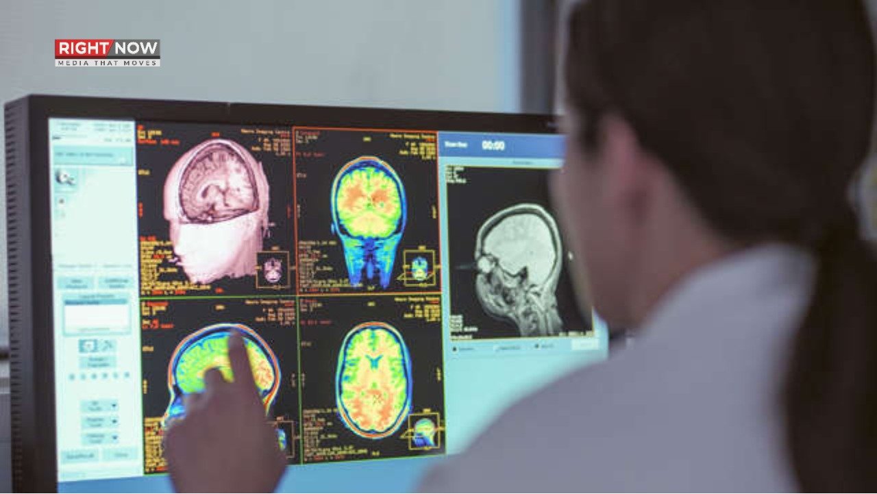 انسانی دماغ پانچ مراحل میں ترقی کرتا ہے، تحقیق