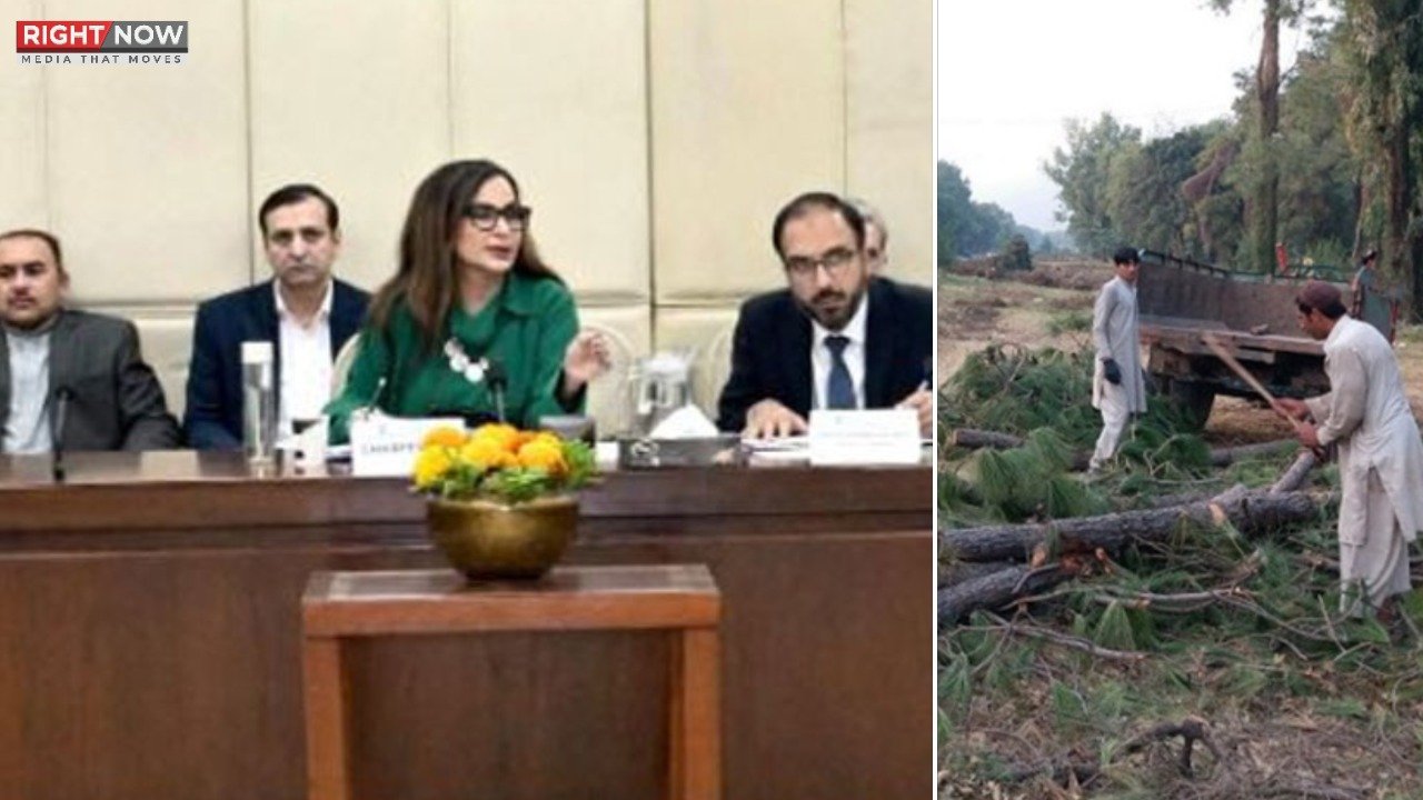 شمالی وزیرستان میں پولیو کا کیس، 2025 میں تعداد 31 ہو گئی