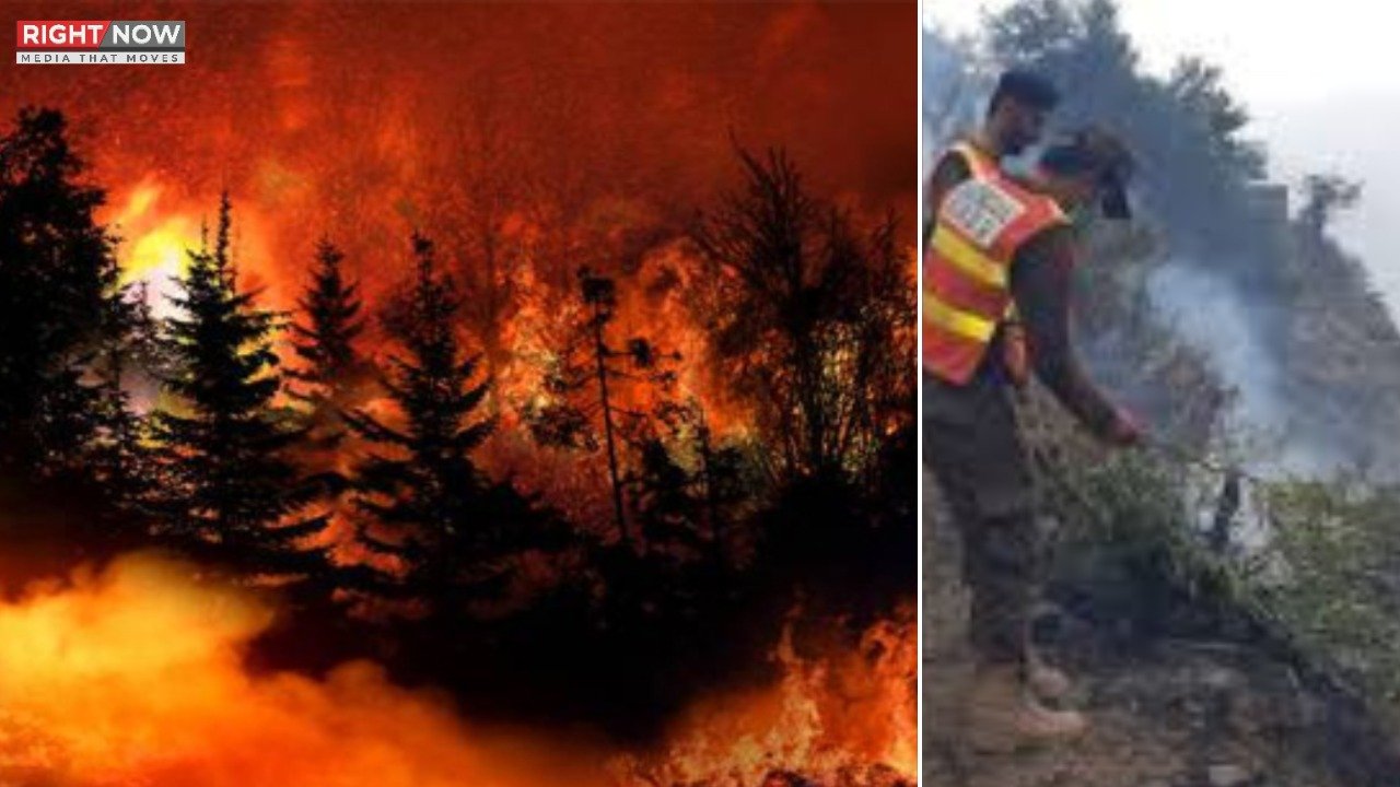 ایبٹ آباد کے جنگلات میں آگ، ریسکیو آپریشن تاحال جاری