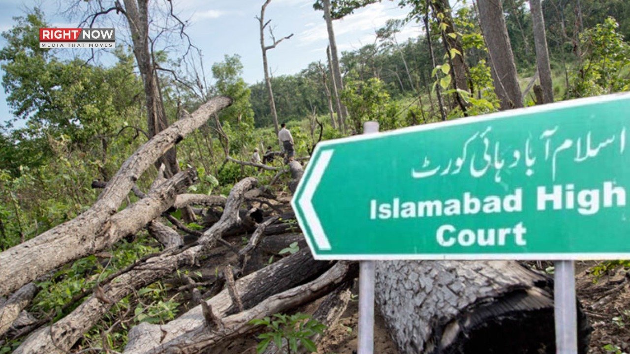اسلام آباد ہائیکورٹ کا سی ڈی اے کو درختوں کی کٹائی روکنے کا حکم