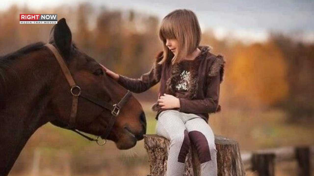 گھوڑے انسانوں کے خوف کو محسوس کر سکتے ہیں، نئی تحقیق