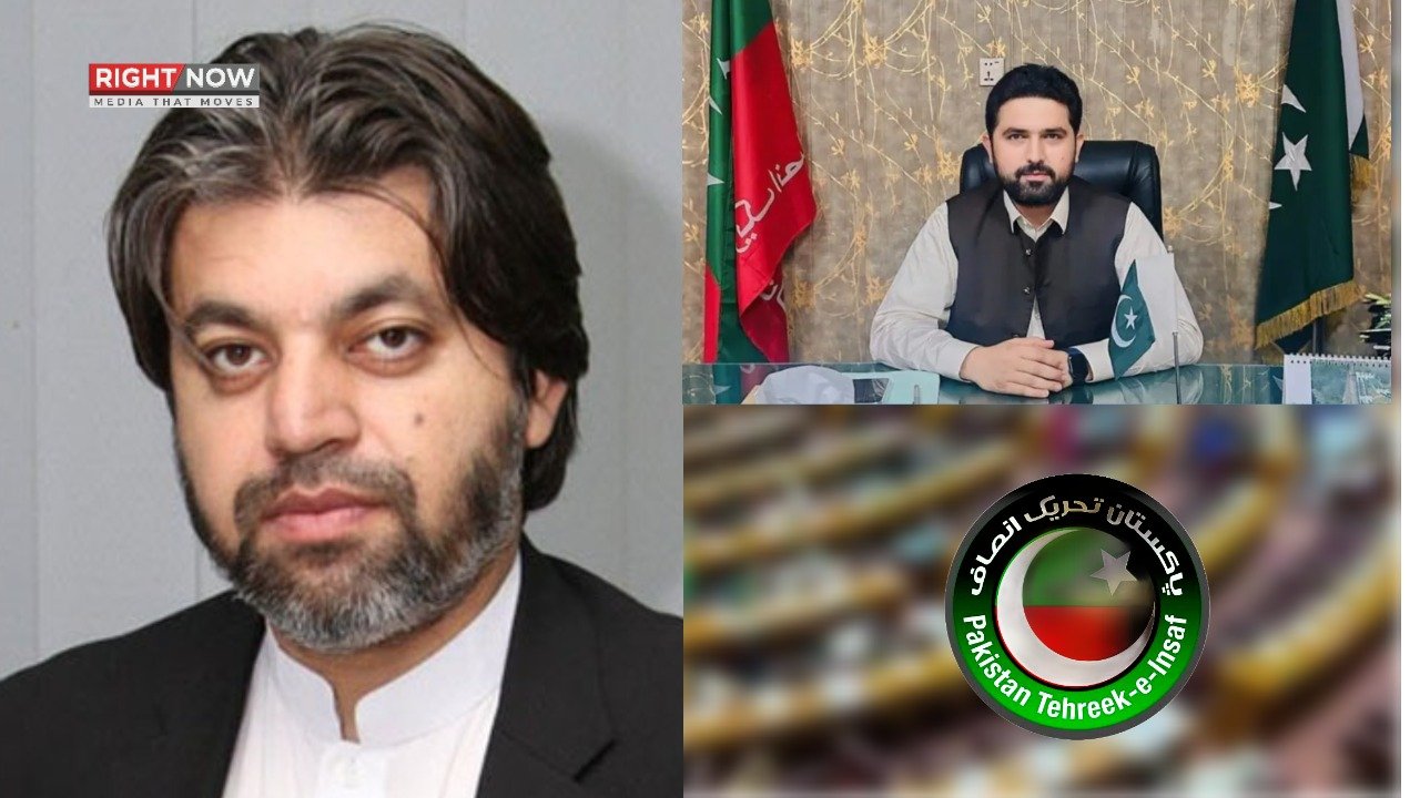 علی محمد خان کا پی ٹی آئی کو قائمہ کمیٹیوں میں واپسی کا مشورہ