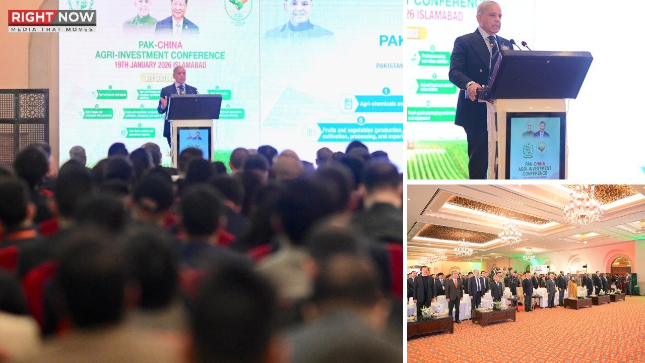 پاکستان زراعت، آئی ٹی اور مصنوعی ذہانت میں چینی مہارت سےفائدہ اٹھا سکتا ہے۔ وزیراعظم پاکستان