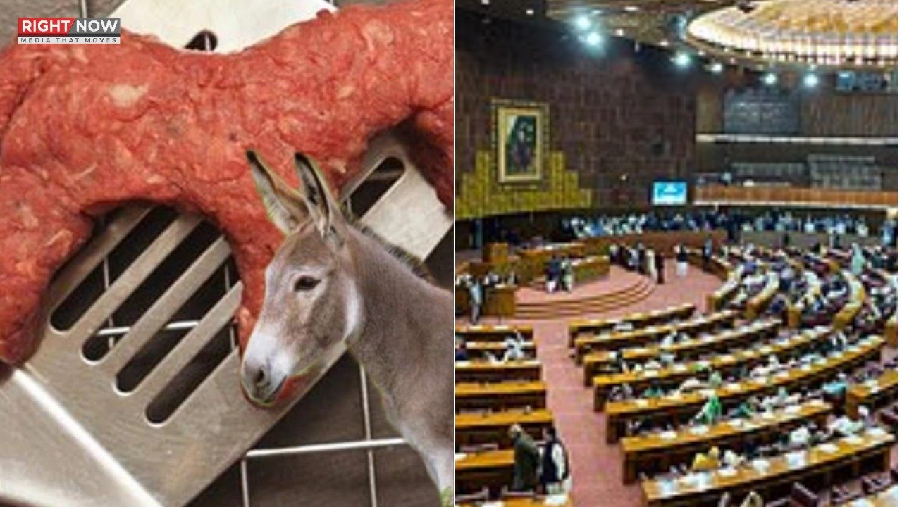 اسلام آباد میں گدھوں کے گوشت کا معاملہ قومی اسمبلی میں زیر بحث
