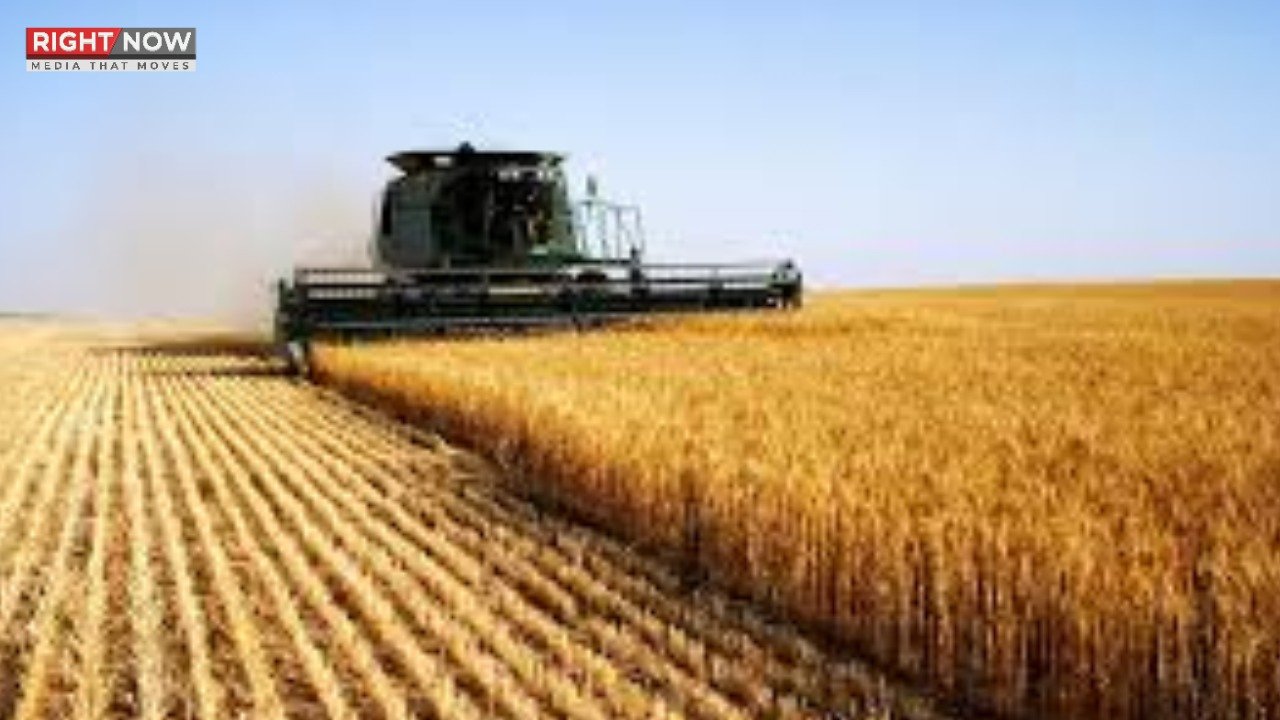 پنجاب حکومت نے گندم کی قیمت 35 سو روپے فی من مقرر کی