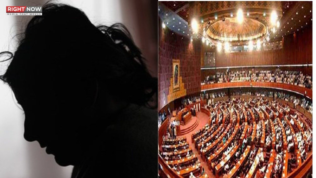 پارلیمنٹ نے انسانی حقوق اور گھریلو تشدد کے بل منظور کر لیے