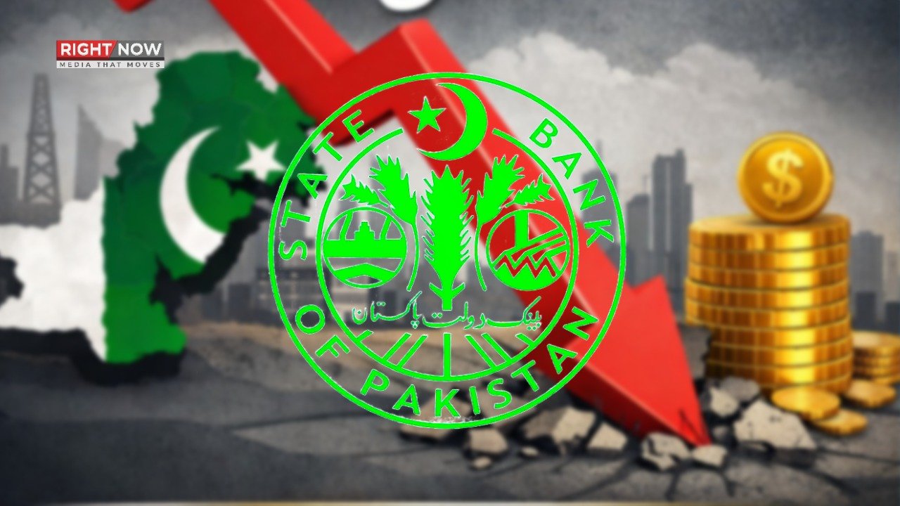 پاکستان میں غیر ملکی سرمایہ کاری میں 43 فیصد کمی