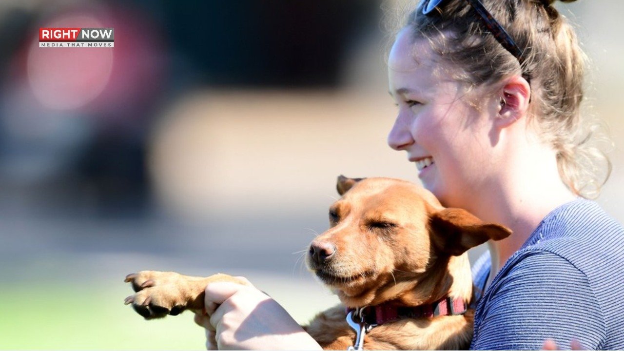 امریکا میں 10 سال بعد گمشدہ پالتو کتا مالکان سے ملا