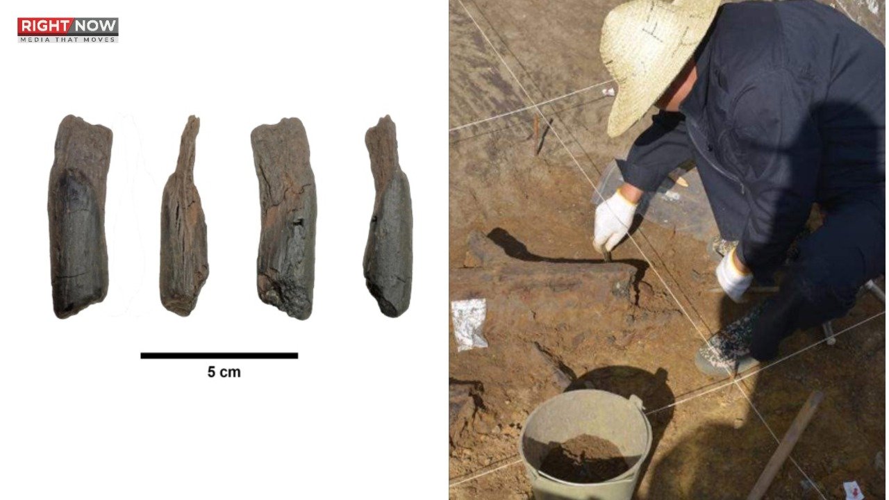 یونان میں لاکھوں سال پرانے لکڑی کے اوزار دریافت
