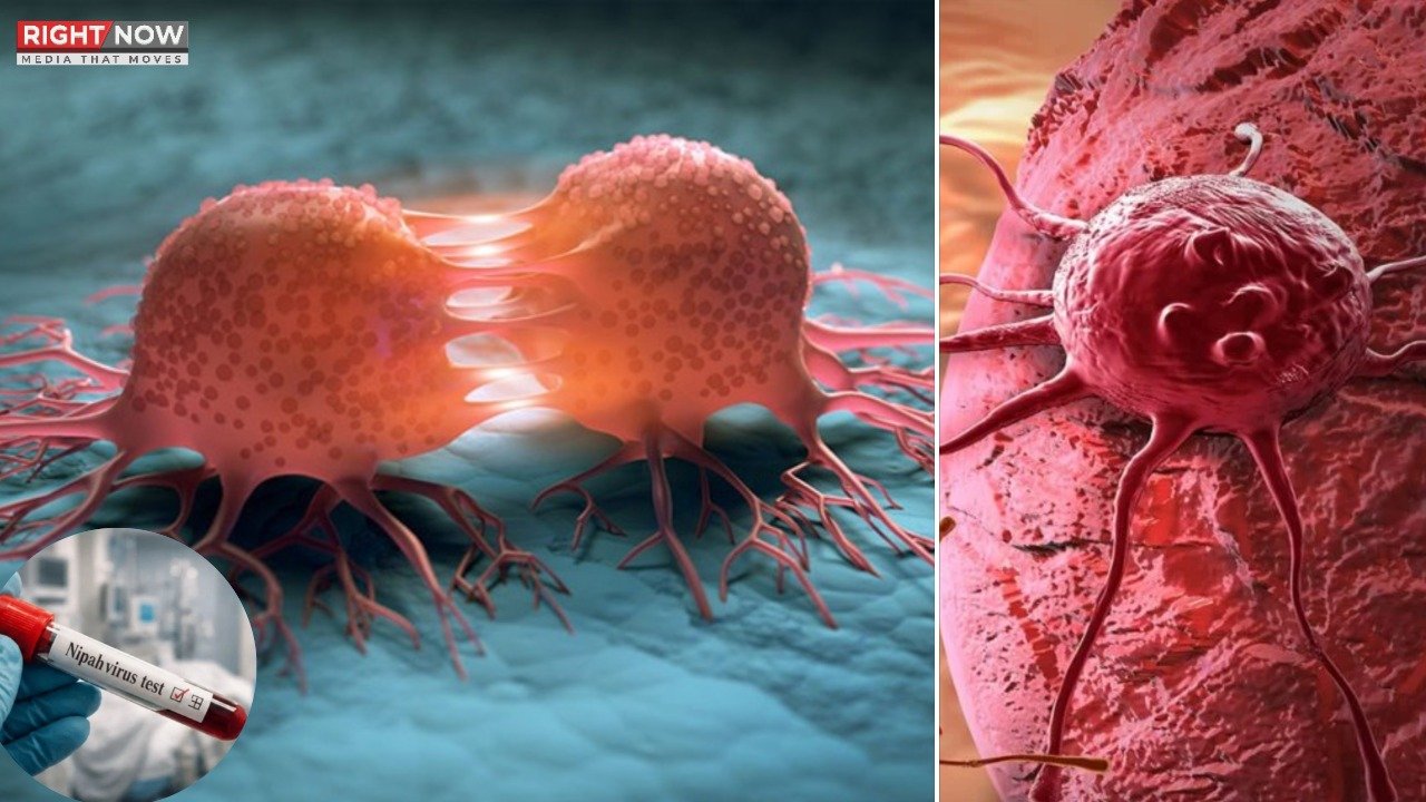 کینسر کی واپسی روکنے کے لیے نیا مالیکیول دریافت