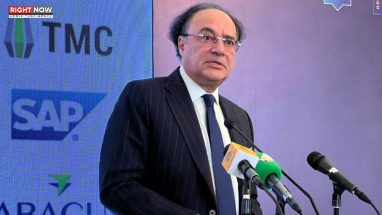 وفاقی وزیر خزانہ کا کہنا ہے حکومت 24 کروڑ افراد کو نوکریاں نہیں دے سکتی