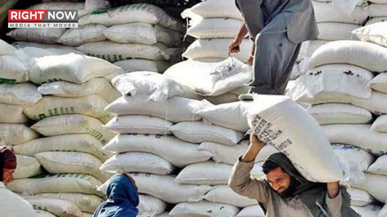 پشاور میں 20 کلو آٹے کا تھیلا 3200 روپے تک مہنگا