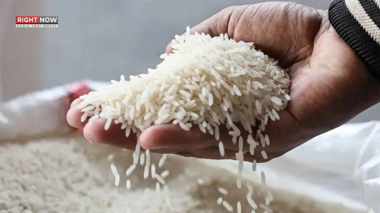 پاکستانی چاول کی برآمدات میں کمی، عالمی قیمت میں نمایاں کمی