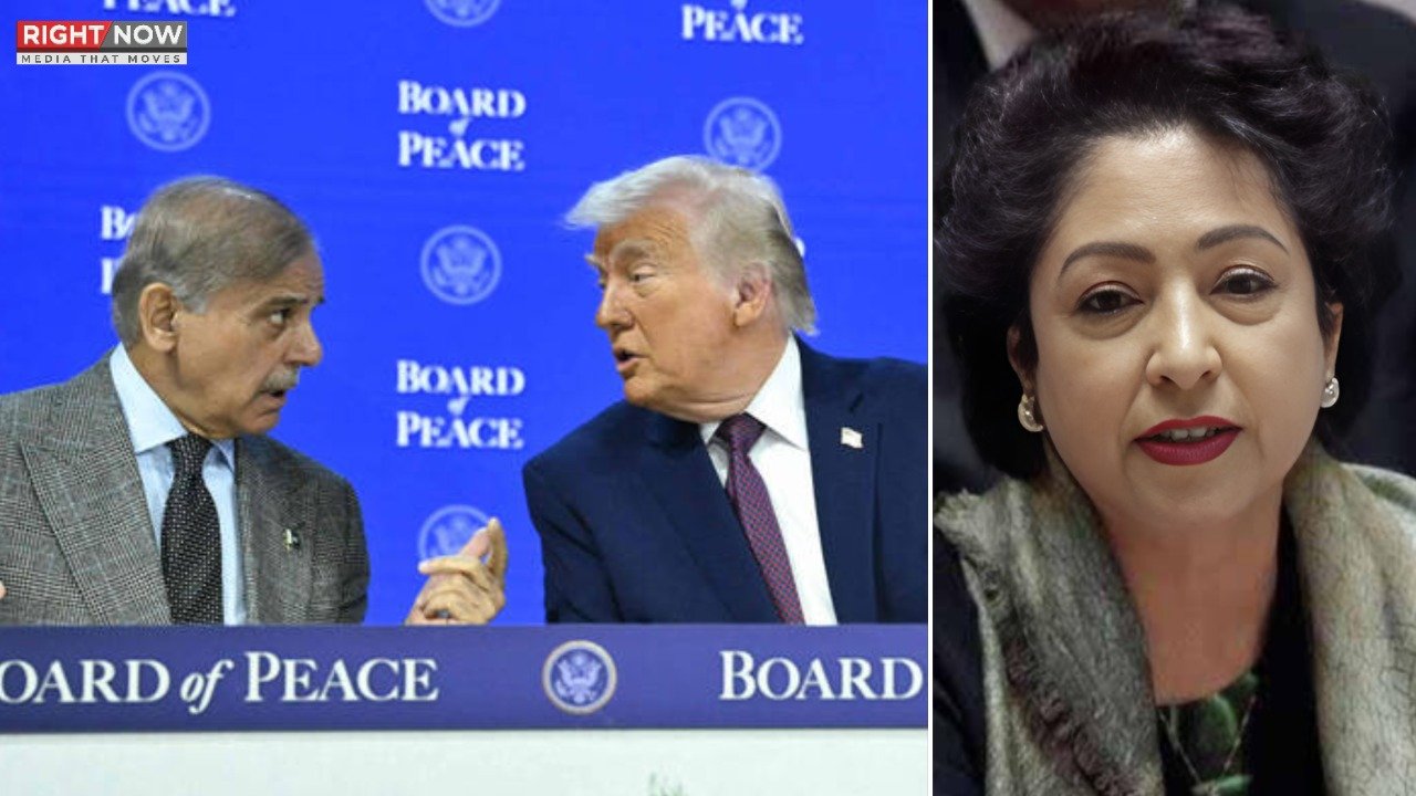 پاکستان کو بورڈ آف پیس سے علیحدگی اختیار کرنی چاہیے: ملیحہ لودھی