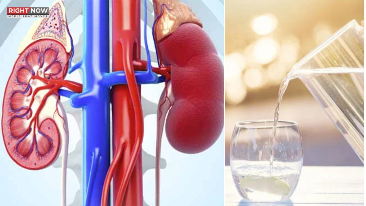 گردوں کی صحت کے لیے روزانہ 2 سے 3 لیٹر پانی ضروری