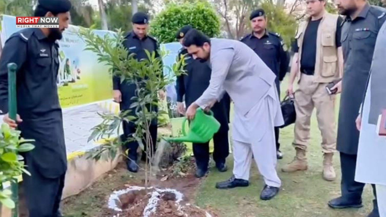 وزیراعلیٰ خیبرپختونخوا کا پشاور میں احساس شجر مہم کا آغاز