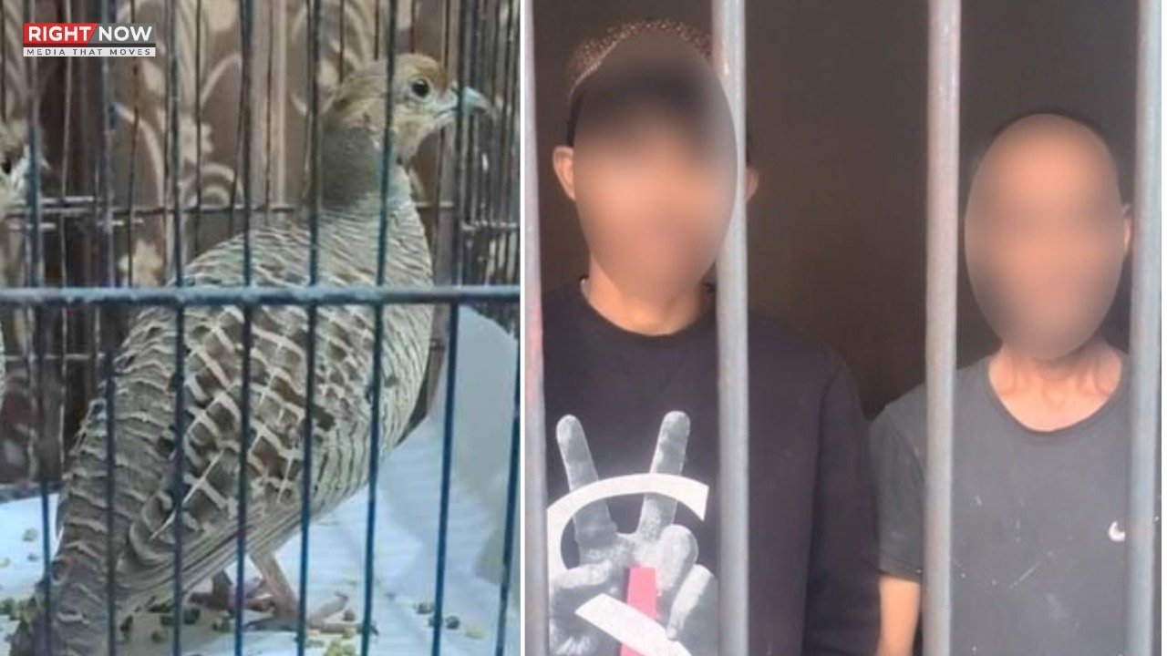 کراچی، تیتر چھیننے پر بزرگ شہری کا قتل ملزمان گرفتار