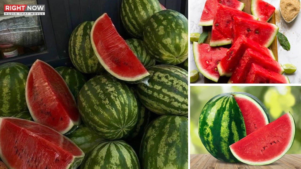 میٹھے تربوز کی شناخت کے 4 مؤثر طریقے، خریداری میں آسانی