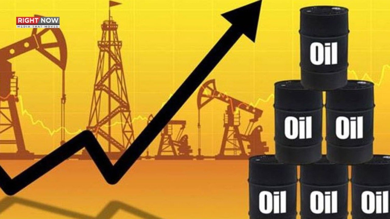 محمد اورنگزیب، پٹرول اور ڈیزل کی قیمتوں میں بڑا اضافہ