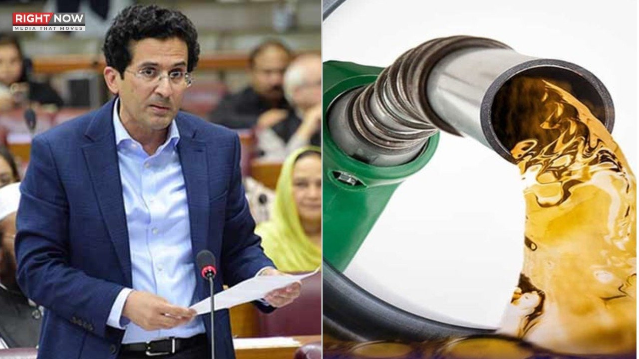 علی پرویز ملک، پیٹرولیم قیمتوں کا بوجھ عوام پر کم کرنے کا دعویٰ