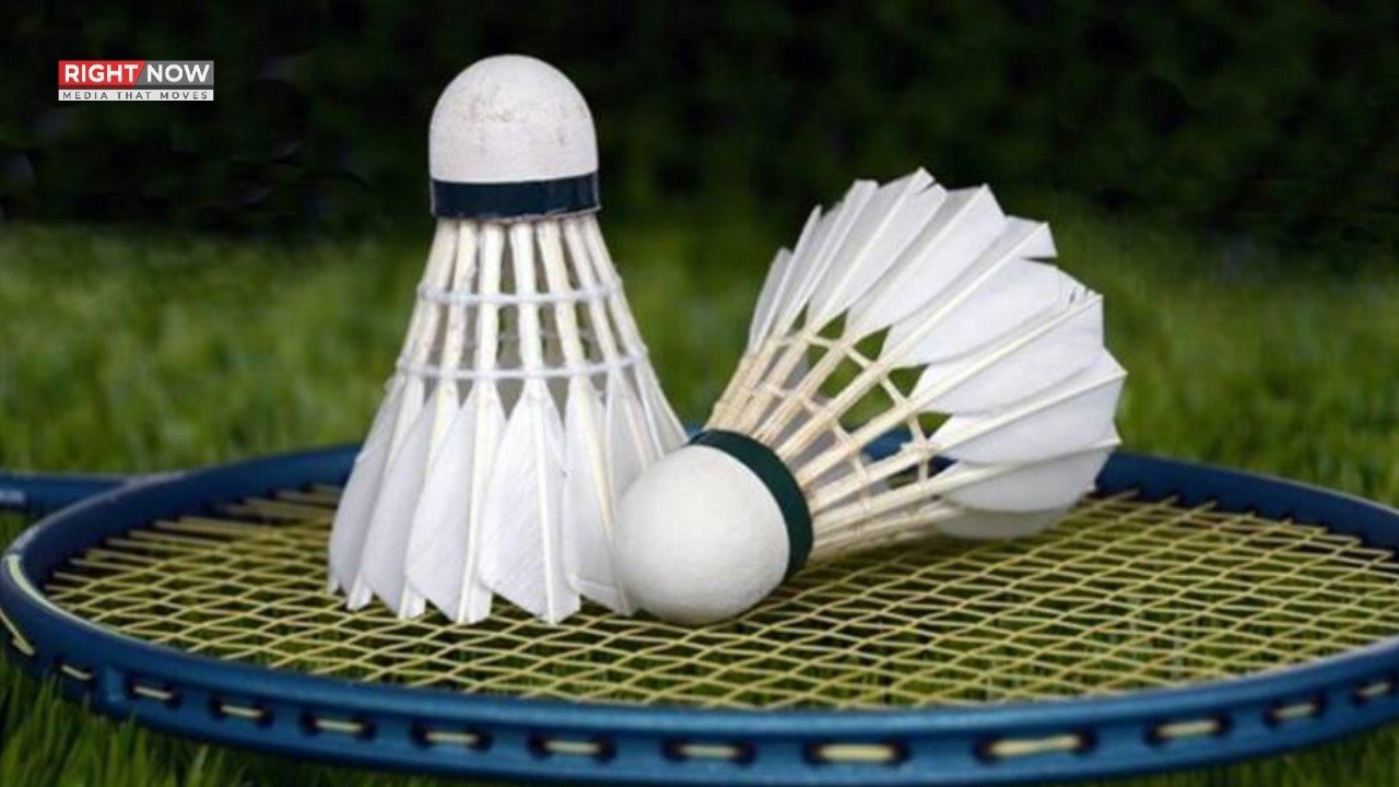 بیڈمنٹن، مصنوعی شٹل کاک کے استعمال کی منظوری