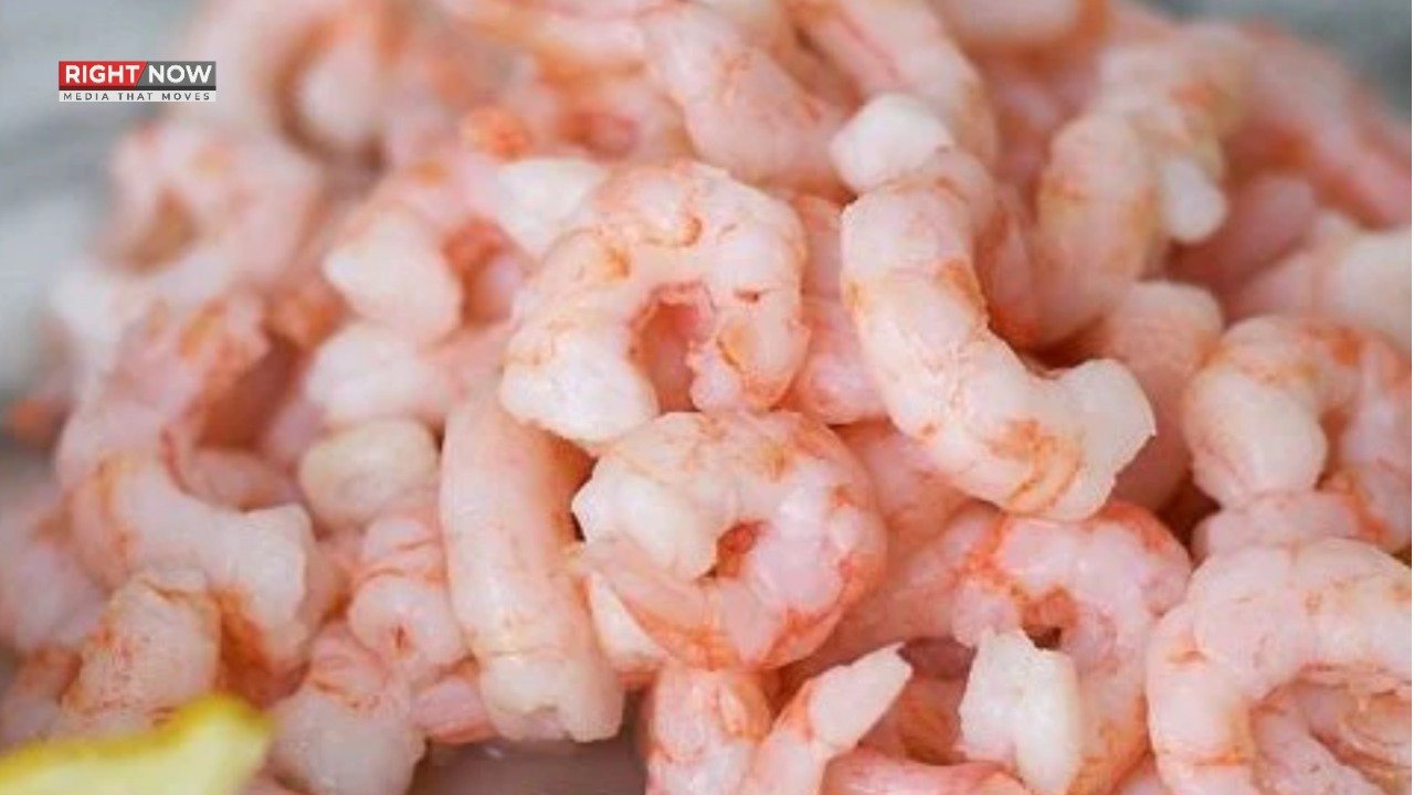 جھینگوں میں وائرس، نئی آنکھوں کی بیماری کا سبب