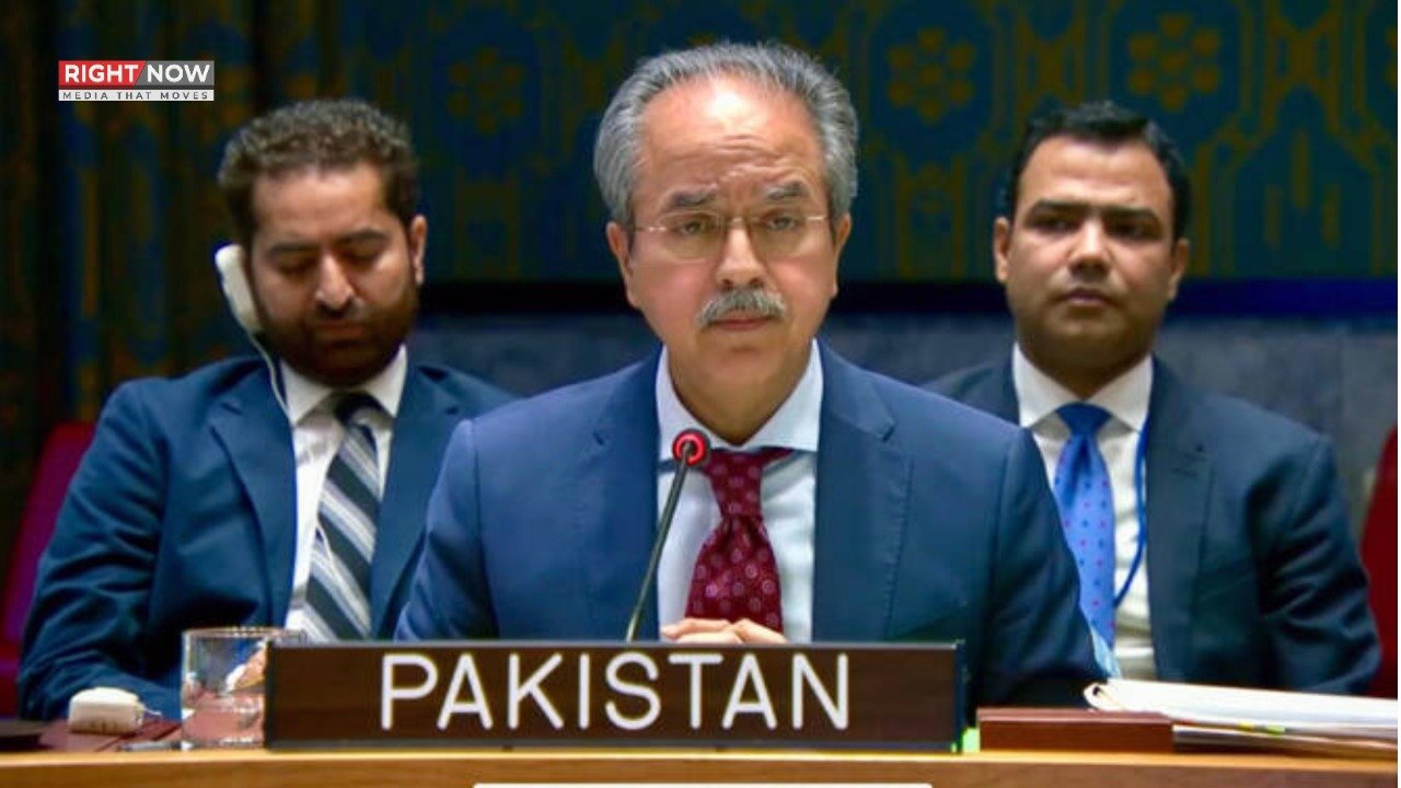 پاکستان، ویٹو کے خاتمے یا محدودیت پر اصرار